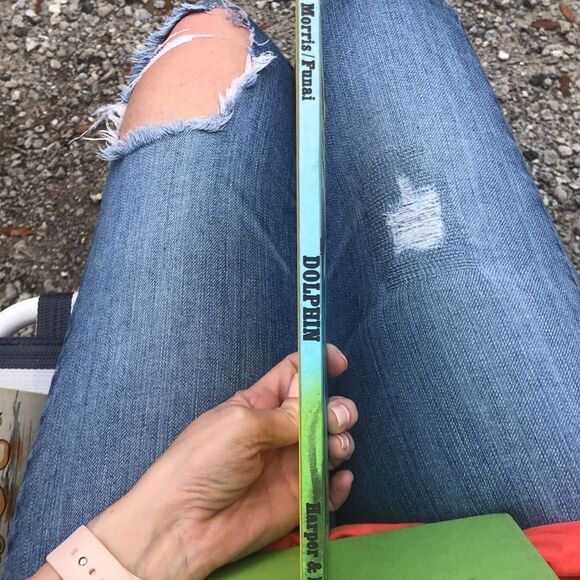 Vtg 1975 A Science I can Read Book Dolphin - Picture 7 of 8